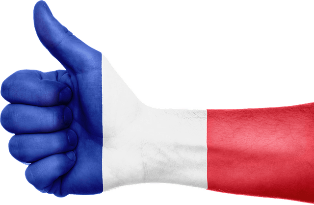 best french learning apps fastest way to learn french compressor