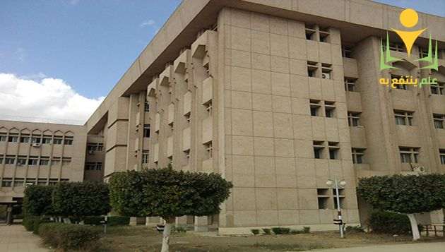 معلومات عن كلية العلوم