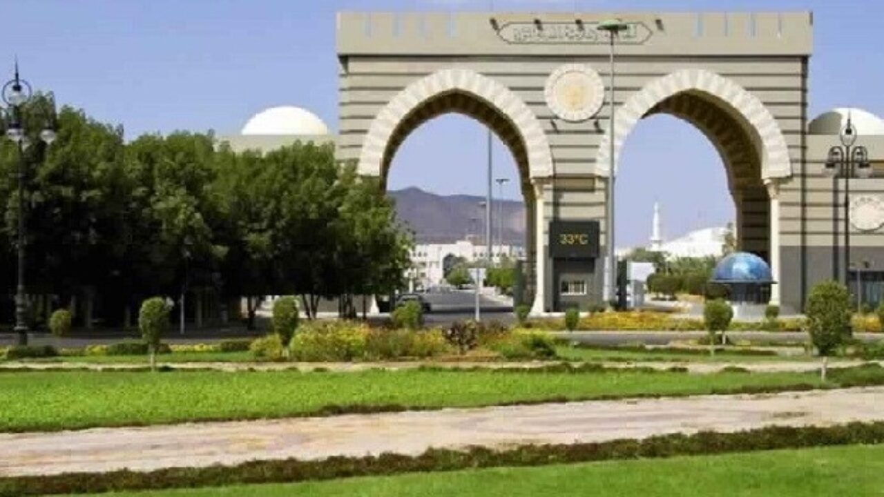 بلاك بورد جامعة جدة Uj تسجيل الدخول جذور