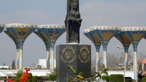 المعهد الأفرو أسيوي