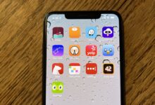 XhY3rL3zgGsjZXCUogpJT8