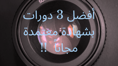 IMG 20230319 1000361